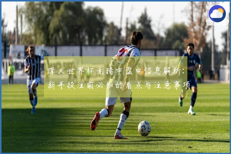 烽火世界杯竞猜中盘口信息解析：新手投注前必知的看点与注意事项