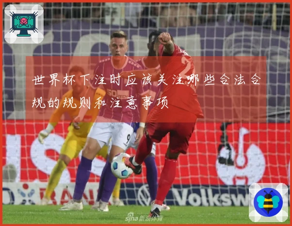 世界杯下注时应该关注哪些合法合规的规则和注意事项