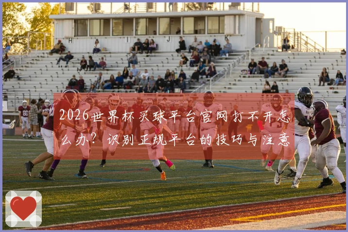 2026世界杯买球平台官网打不开怎么办？识别正规平台的技巧与注意事项